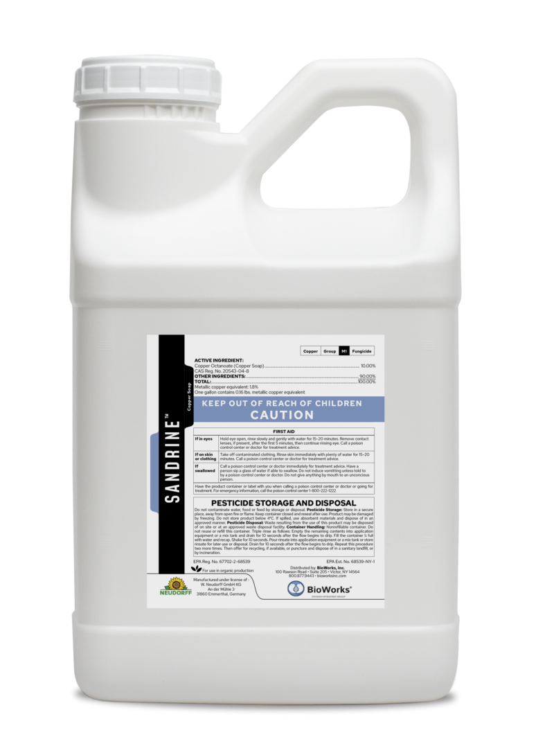 Sandrine Copper Soap 1 gal.